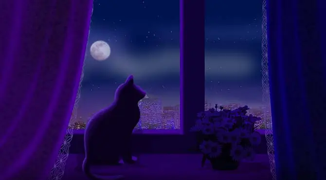 100 Cats